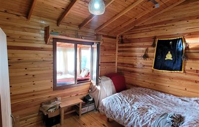 C21 BAL'DAN HAVRAN FAZLICA'DA SATILIK AHŞAP EV ve 8 DÖNÜMTARLASI