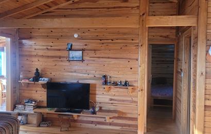 C21 BAL'DAN HAVRAN FAZLICA'DA SATILIK AHŞAP EV ve 8 DÖNÜMTARLASI