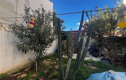 Bodrumun Kalbinde 285 M2 İçerisinde 2 Adet Müstakil Ev ve Bahçe Tek Fiyat