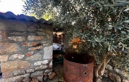 Bodrumun Kalbinde 285 M2 İçerisinde 2 Adet Müstakil Ev ve Bahçe Tek Fiyat