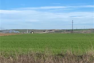 Edirne Merkez Tayakadın Sanayi İmarlı - 8 - 30519