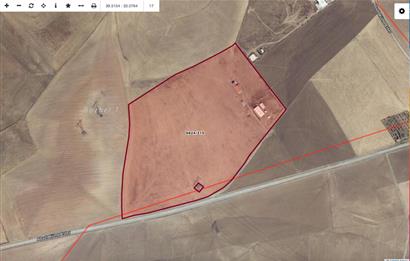 BALA ABAZLI'DA SATILIK, TEK TAPULU 95 DÖNÜM TARLA