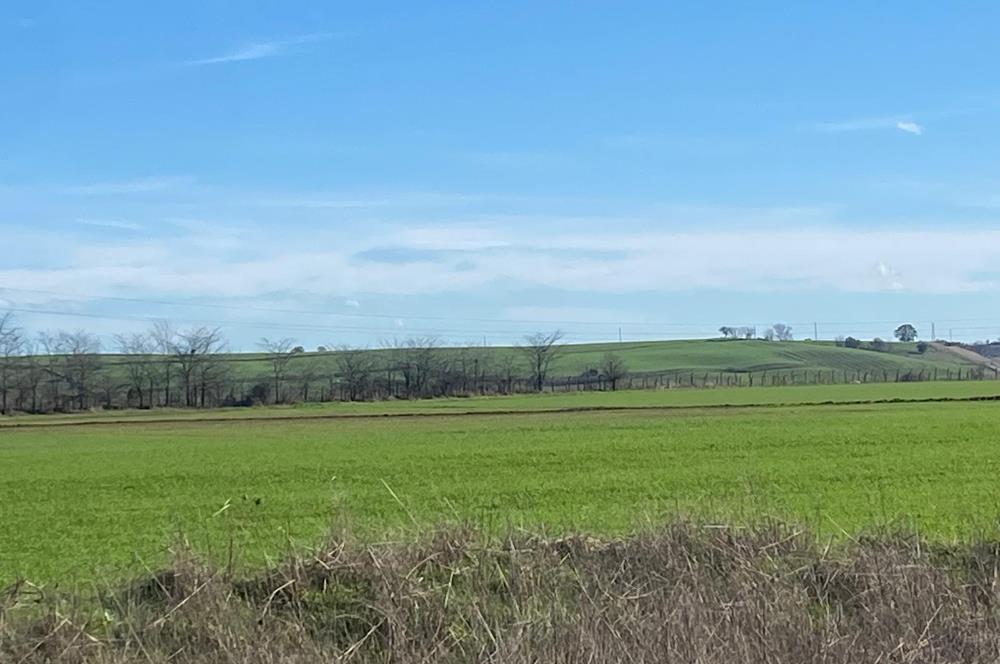 Edirne Merkez Tayakadın Sanayi İmarlı