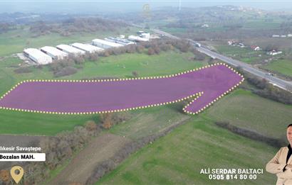 C21 Bal'dan Savaştepe Bozalan Mah. Satılık Tarla