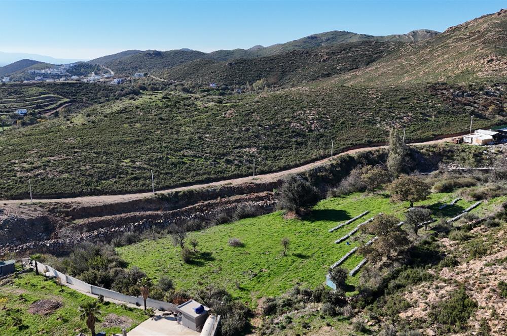 Bodrum Dereköy Kavakderesi’nde Dereye Cepheli, Yapı Kayıt Alanı Bulunan 8.437 m² Arazi