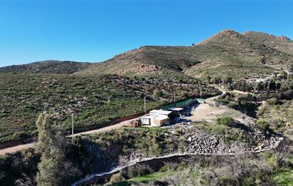 Bodrum Dereköy Kavakderesi’nde Dereye Cepheli, Yapı Kayıt Alanı Bulunan 8.437 m² Arazi