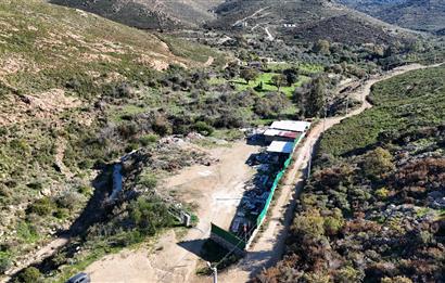 Bodrum Dereköy Kavakderesi’nde Dereye Cepheli, Yapı Kayıt Alanı Bulunan 8.437 m² Arazi