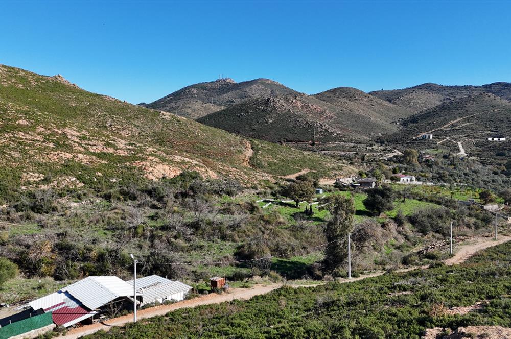 Bodrum Dereköy Kavakderesi’nde Dereye Cepheli, Yapı Kayıt Alanı Bulunan 8.437 m² Arazi