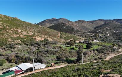 Bodrum Dereköy Kavakderesi’nde Dereye Cepheli, Yapı Kayıt Alanı Bulunan 8.437 m² Arazi