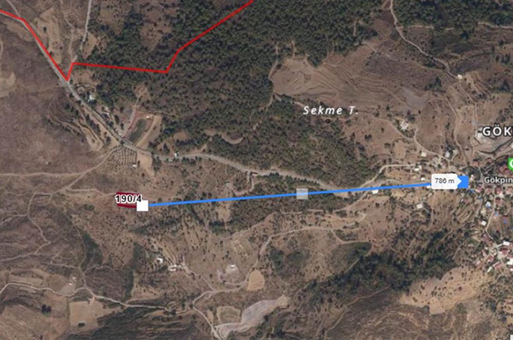 Bodrum Gökpınar Satılık Zeytinlik