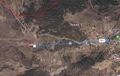 Bodrum Gökpınar Satılık Zeytinlik