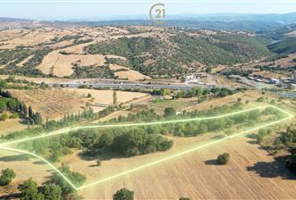 C21 Bal'dan Naipli'de 16.130 m2 Proje Geliştirilebilir Tarla - 8 - 27853