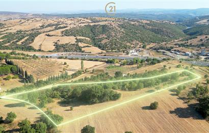 C21 Bal'dan Naipli'de 16.130 m2 Proje Geliştirilebilir Tarla