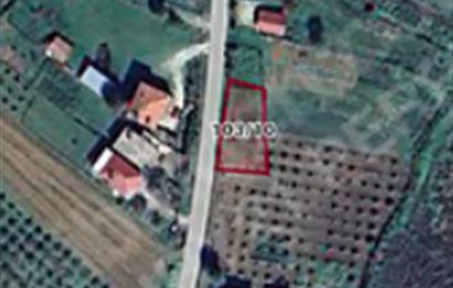 Sakarya Kaynarca Satılık 486,55 m2 İmara yakın Bahçe