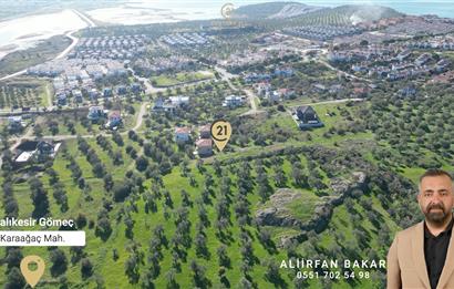 Gömeç Karaağaç'ta Satılık, 500 m² Villa Arsası