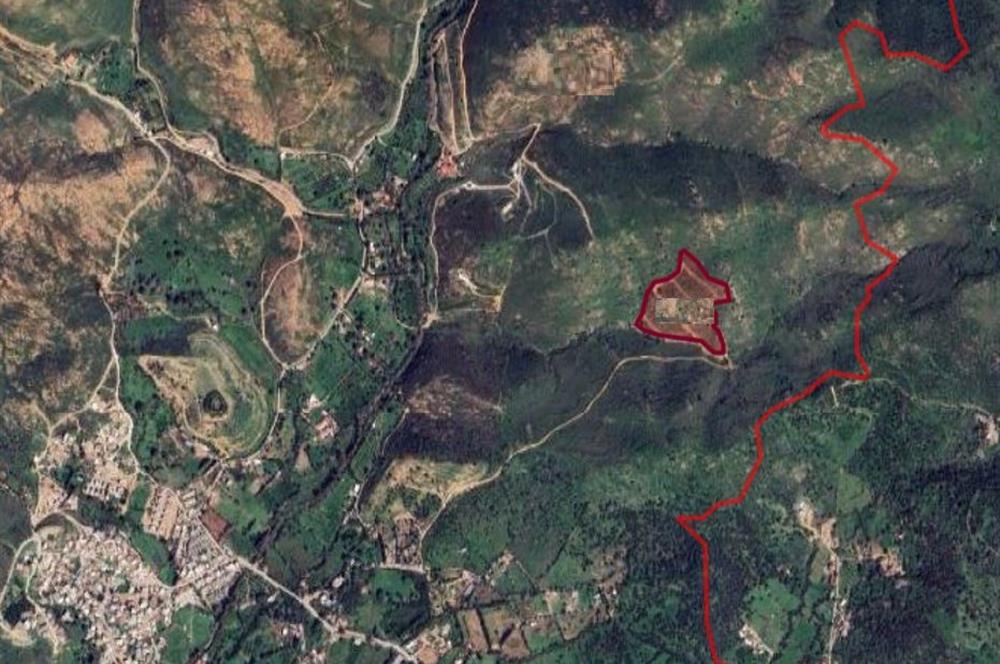 Bodrum Gümüşlük Dereköy'de Satılık Kooperatif Hissesi Tarla