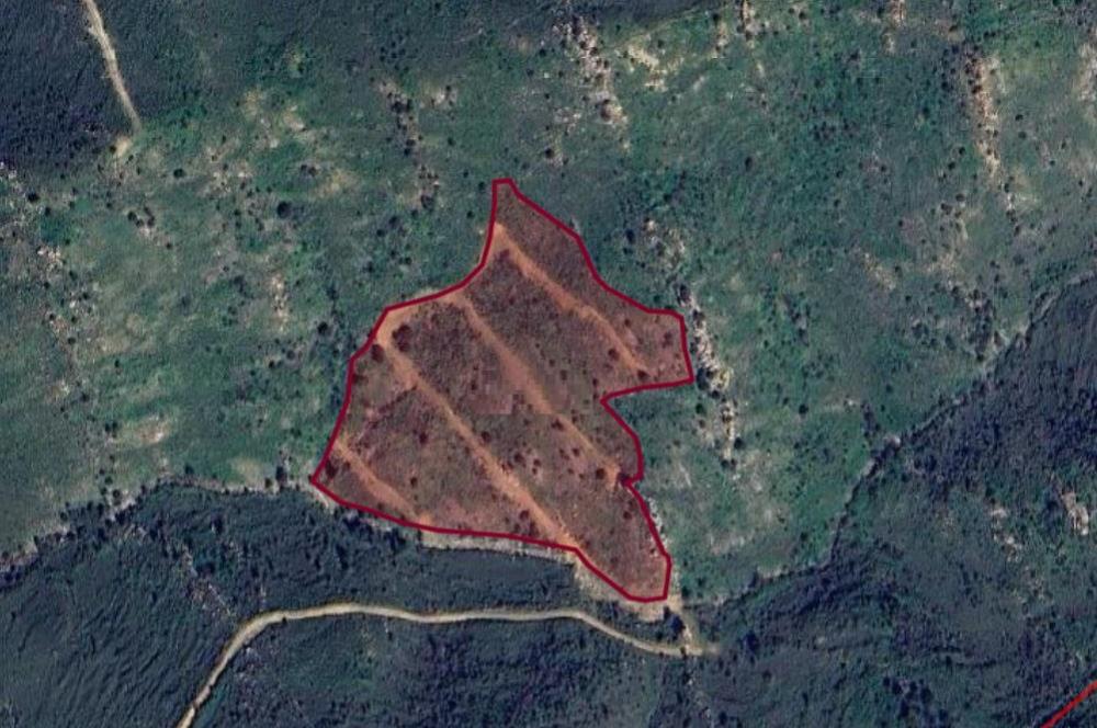 Bodrum Gümüşlük Dereköy'de Satılık Kooperatif Hissesi Tarla