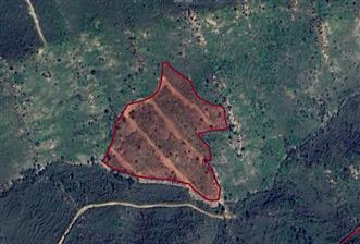 Bodrum Gümüşlük Dereköy'de Satılık Kooperatif Hissesi Tarla - 3 - 30657