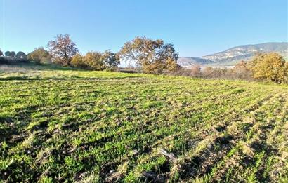 C21 LOCA'DAN BİGADİÇ ÇAMKÖY MAHALLESİNDE ACİL SATILIK TARLA