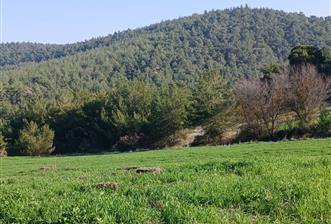 C21 LOCA'DAN BİGADİÇ ÇAMKÖY MAHALLESİNDE 1846,28M2 SATILIK TARLA - 8 - 30700