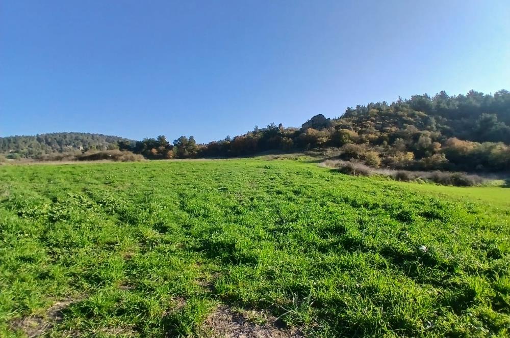 C21 LOCA'DAN BİGADİÇ ÇAMKÖY'DE DOĞA MANZARALI SATILIK TARLALAR