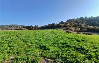 C21 LOCA'DAN BİGADİÇ ÇAMKÖY'DE DOĞA MANZARALI SATILIK TARLALAR