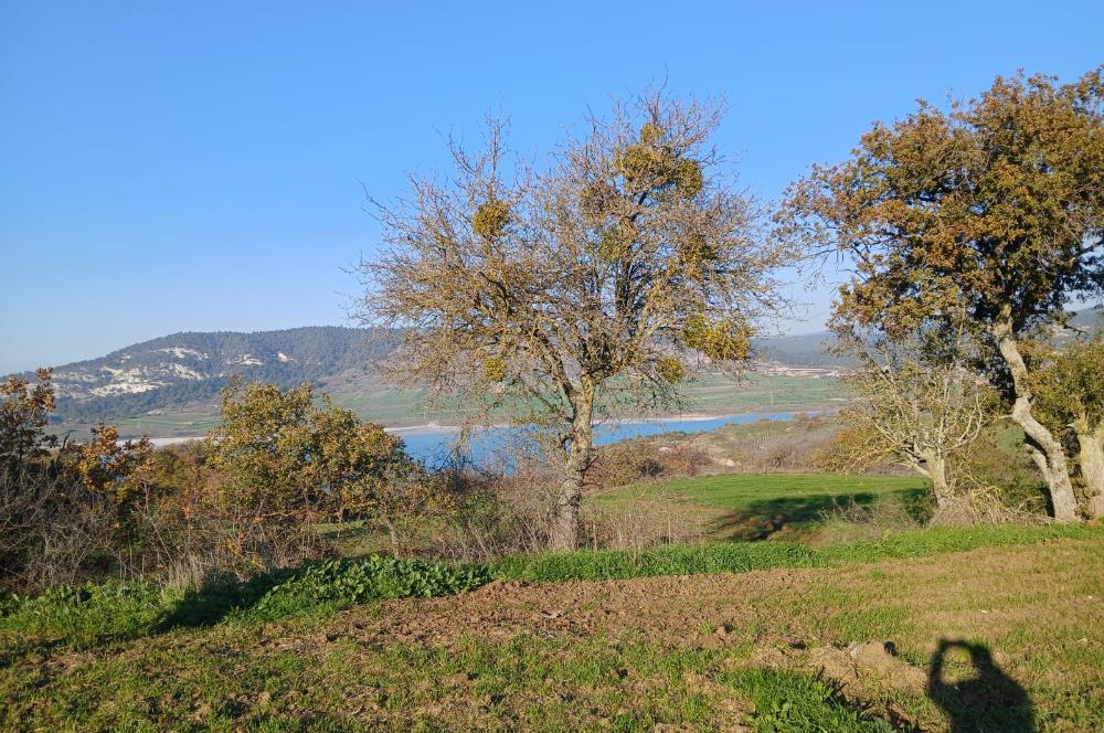 C21 LOCA'DAN BİGADİÇ ÇAMKÖY MAHALLESİNDE ACİL SATILIK TARLA