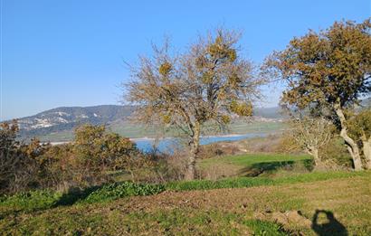 C21 LOCA'DAN BİGADİÇ ÇAMKÖY MAHALLESİNDE ACİL SATILIK TARLA