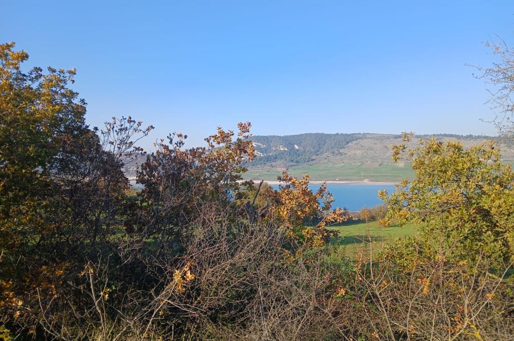 C21 LOCA'DAN BİGADİÇ ÇAMKÖY MAHALLESİNDE ACİL SATILIK TARLA