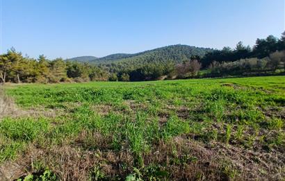 C21 LOCA'DAN BİGADİÇ ÇAMKÖY MAHALLESİNDE 1846,28M2 SATILIK TARLA