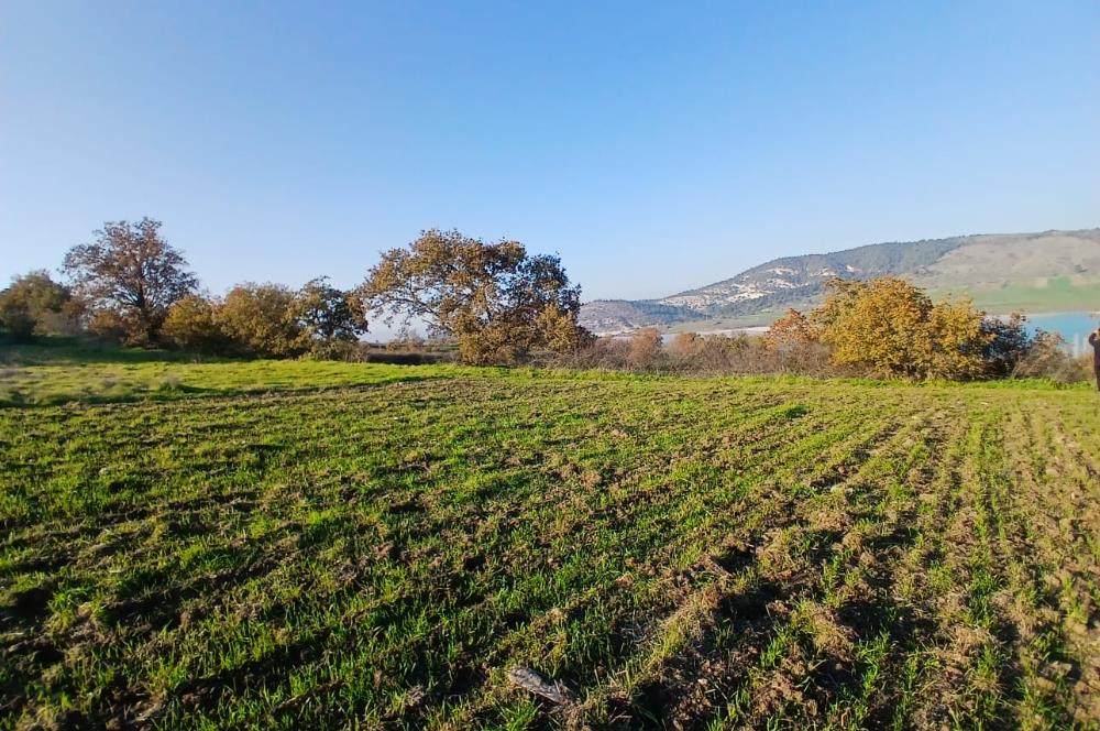 C21 LOCA'DAN BİGADİÇ ÇAMKÖY MAHALLESİNDE ACİL SATILIK TARLA