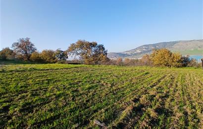 C21 LOCA'DAN BİGADİÇ ÇAMKÖY MAHALLESİNDE ACİL SATILIK TARLA