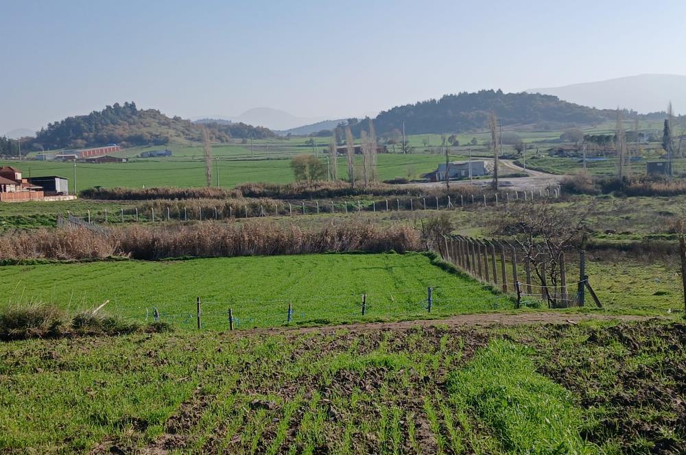 C21 LOCA'DAN BİGADİÇ ÇAMKÖY'DE GÖL MANZARALI 878M2 SATILIK TARLA