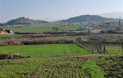 C21 LOCA'DAN BİGADİÇ ÇAMKÖY'DE GÖL MANZARALI 878M2 SATILIK TARLA