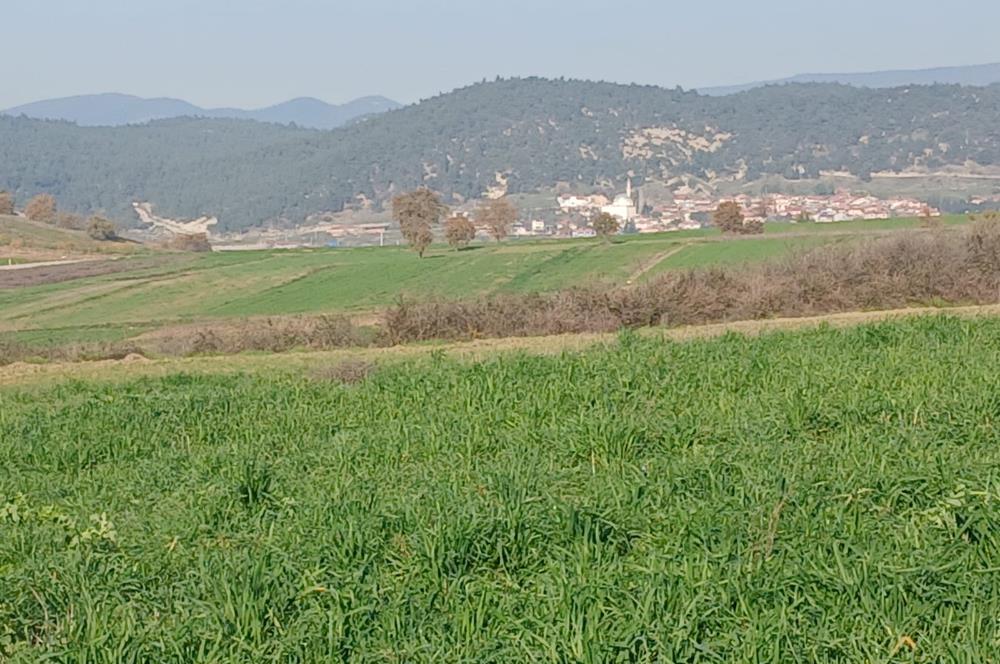 C21 LOCA'DAN BİGADİÇ ÇAMKÖY'DE DOĞA MANZARALI SATILIK TARLALAR
