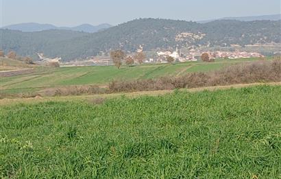 C21 LOCA'DAN BİGADİÇ ÇAMKÖY'DE DOĞA MANZARALI SATILIK TARLALAR