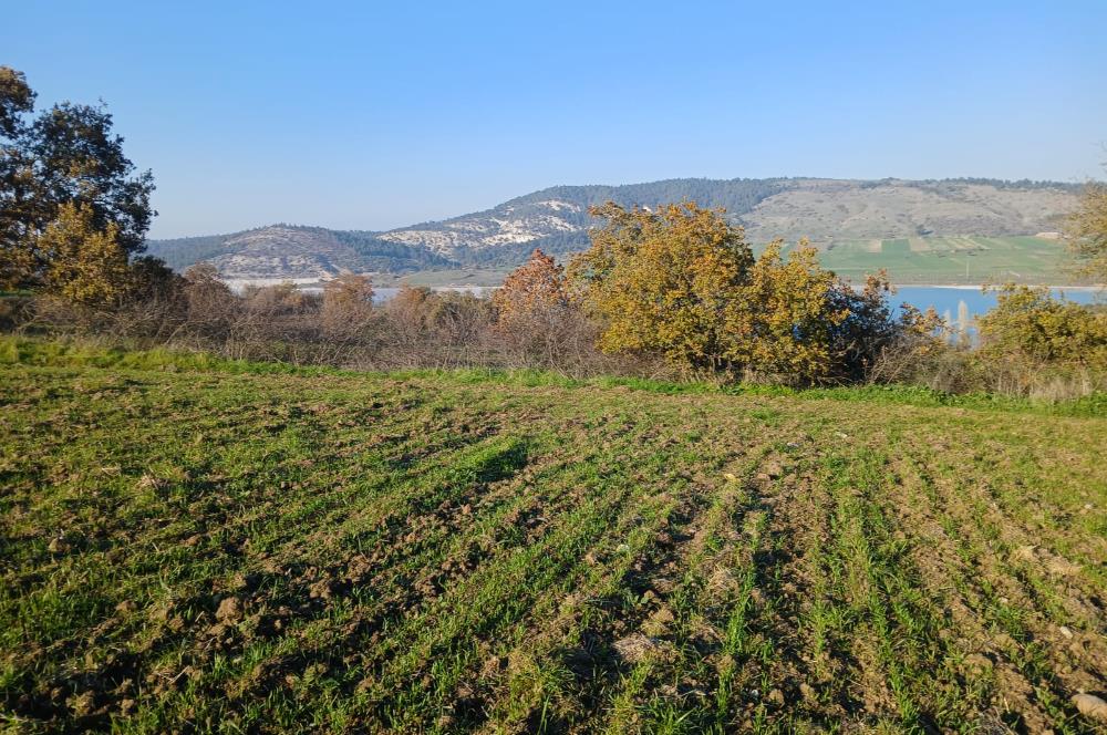 C21 LOCA'DAN BİGADİÇ ÇAMKÖY MAHALLESİNDE ACİL SATILIK TARLA