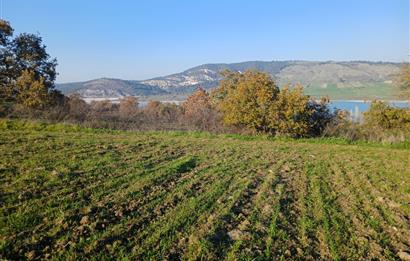 C21 LOCA'DAN BİGADİÇ ÇAMKÖY MAHALLESİNDE ACİL SATILIK TARLA