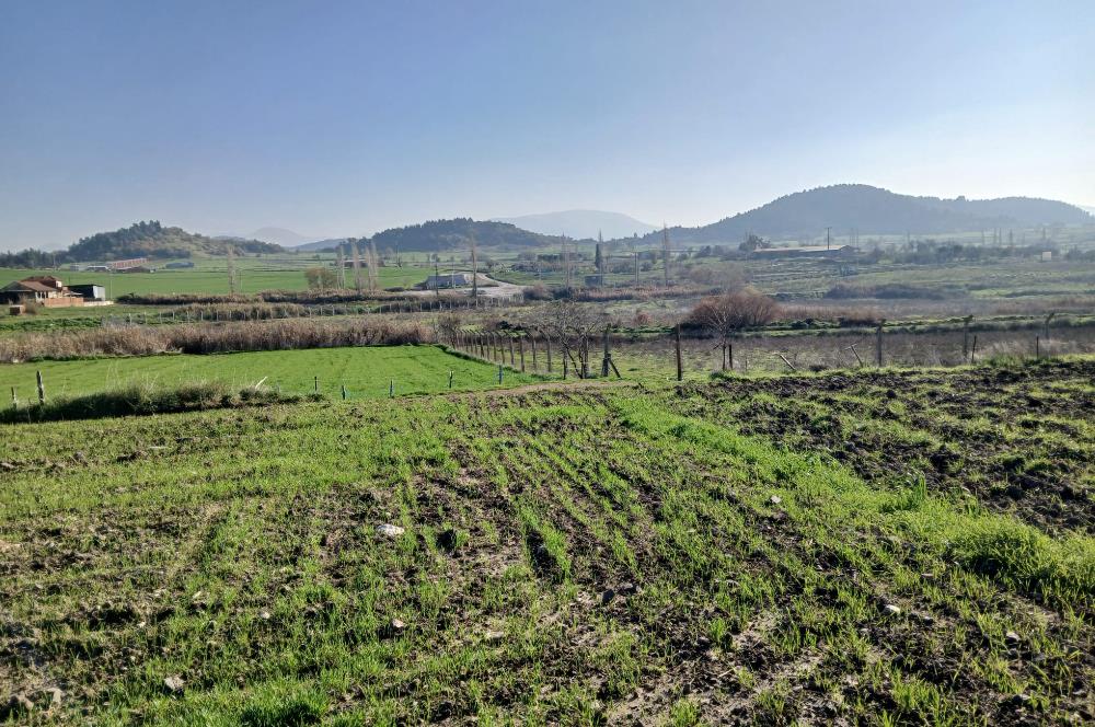 C21 LOCA'DAN BİGADİÇ ÇAMKÖY'DE GÖL MANZARALI 878M2 SATILIK TARLA