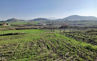 C21 LOCA'DAN BİGADİÇ ÇAMKÖY'DE GÖL MANZARALI 878M2 SATILIK TARLA