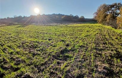 C21 LOCA'DAN BİGADİÇ ÇAMKÖY MAHALLESİNDE ACİL SATILIK TARLA