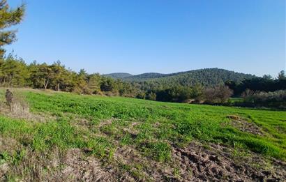 C21 LOCA'DAN BİGADİÇ ÇAMKÖY MAHALLESİNDE 1846,28M2 SATILIK TARLA