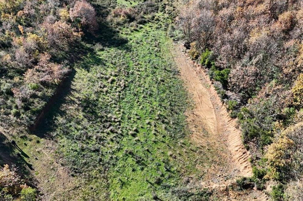 C21 Cius; Haydariye'de İmarlı Yolu Hazır 1852 m2 Arsa