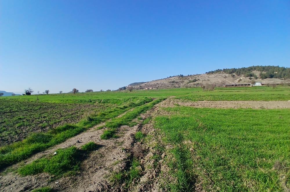 C21 LOCA'DAN BİGADİÇ ÇAMKÖY'DE GÖL MANZARALI 878M2 SATILIK TARLA