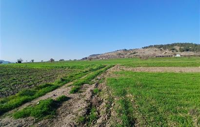 C21 LOCA'DAN BİGADİÇ ÇAMKÖY'DE GÖL MANZARALI 878M2 SATILIK TARLA