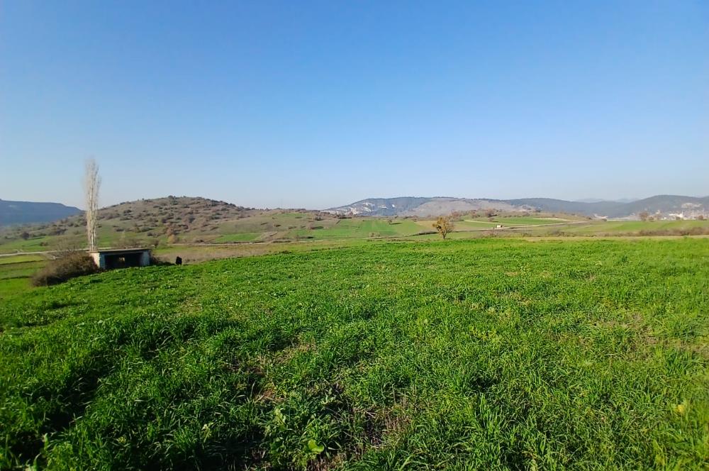 C21 LOCA'DAN BİGADİÇ ÇAMKÖY'DE DOĞA MANZARALI SATILIK TARLALAR