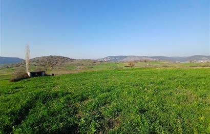 C21 LOCA'DAN BİGADİÇ ÇAMKÖY'DE DOĞA MANZARALI SATILIK TARLALAR