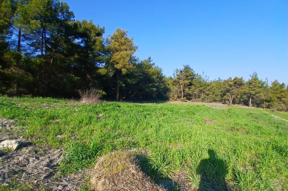 C21 LOCA'DAN BİGADİÇ ÇAMKÖY MAHALLESİNDE 1846,28M2 SATILIK TARLA