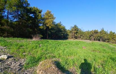 C21 LOCA'DAN BİGADİÇ ÇAMKÖY MAHALLESİNDE 1846,28M2 SATILIK TARLA