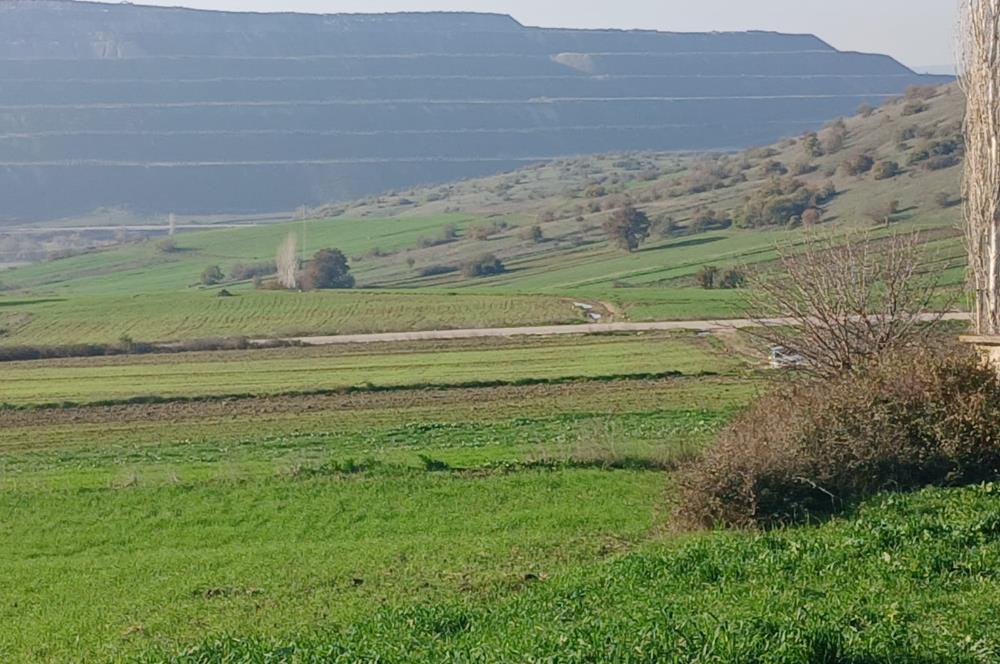 C21 LOCA'DAN BİGADİÇ ÇAMKÖY'DE DOĞA MANZARALI SATILIK TARLALAR
